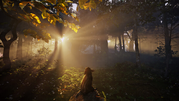 Adorable Adventures Screenshot