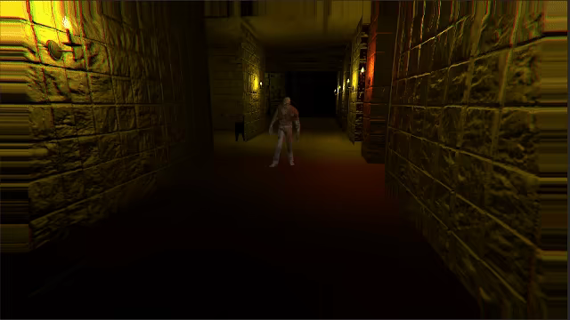 Twelve Mental Patients video 4