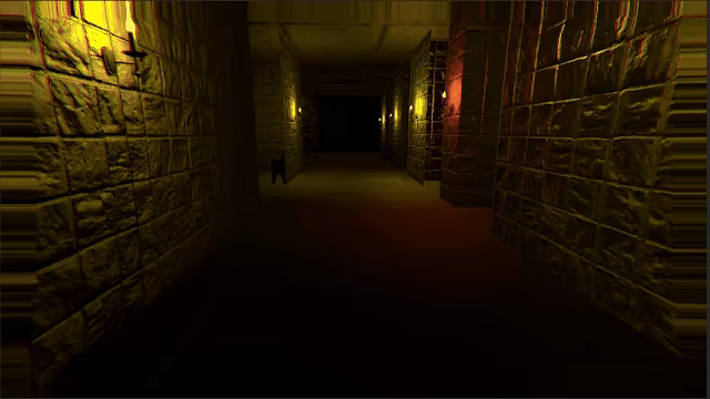 Twelve Mental Patients video 2