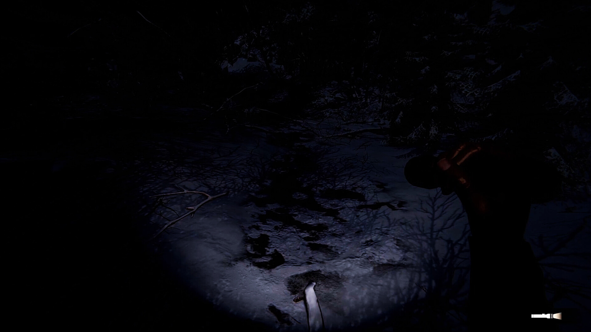 Wraith Rage: A Shadow's Choice screenshot #2