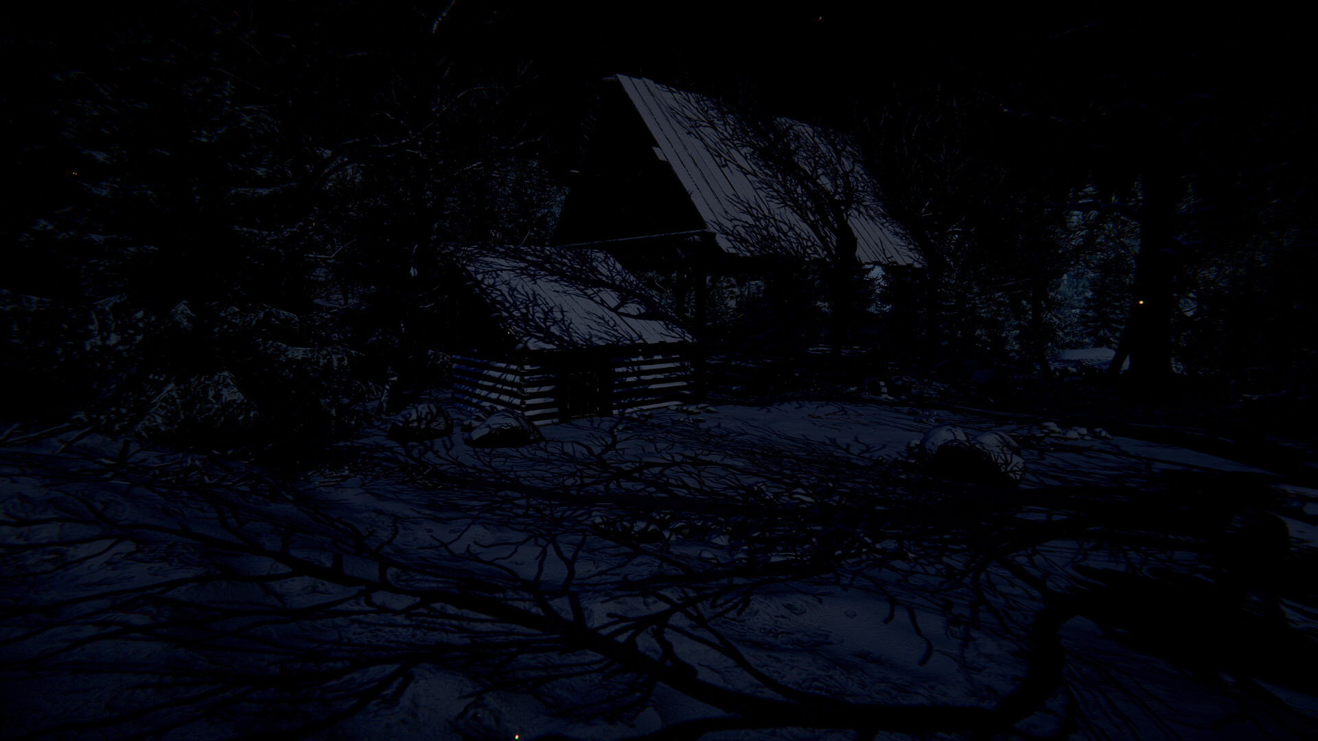 Wraith Rage: A Shadow's Choice screenshot #2