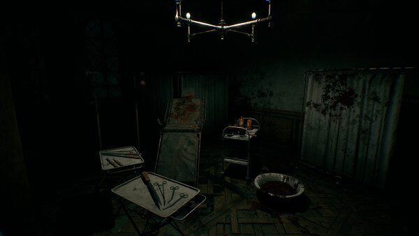 Ashes of the Damned: The Forgotten Ward screenshot 5