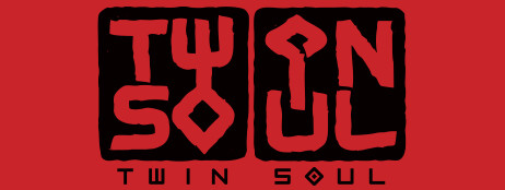 Twin Soul cover art