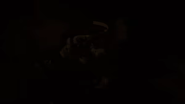 One More Delve video 5