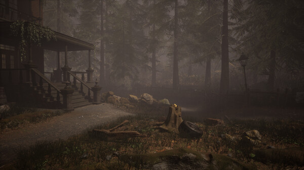 Coincidences? screenshot 1