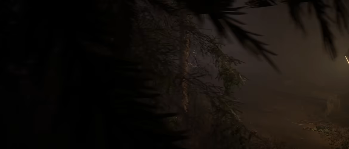 Coincidences? video 4