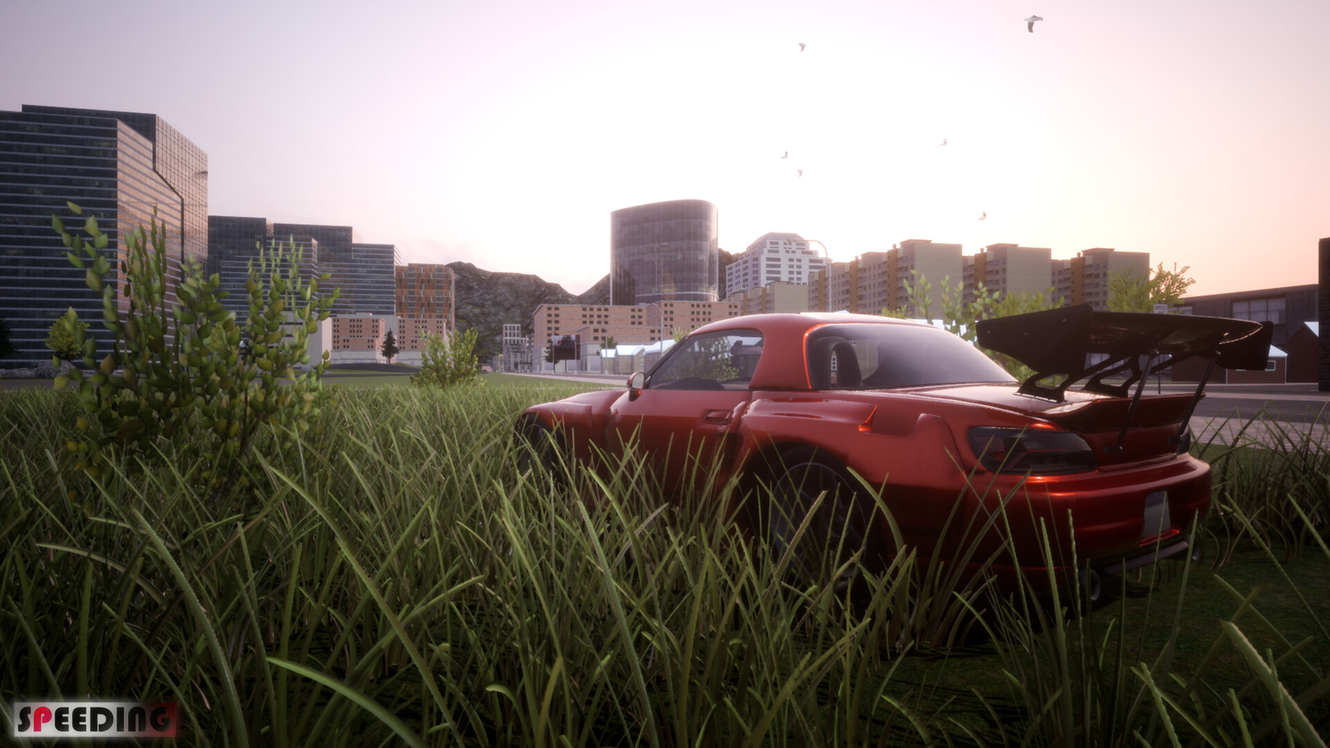 SPEEDING screenshot #1