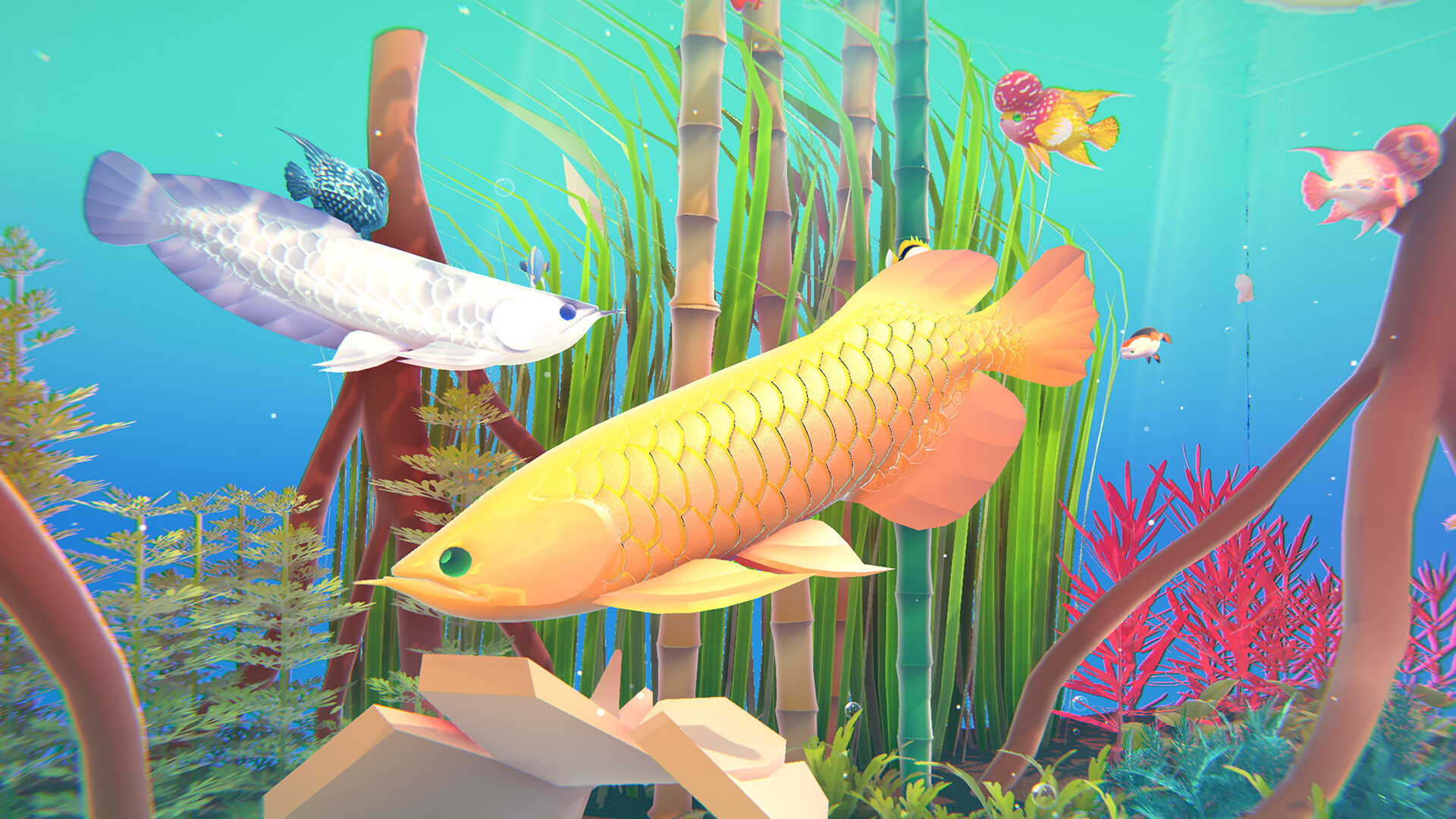 Fishplay screenshot #4