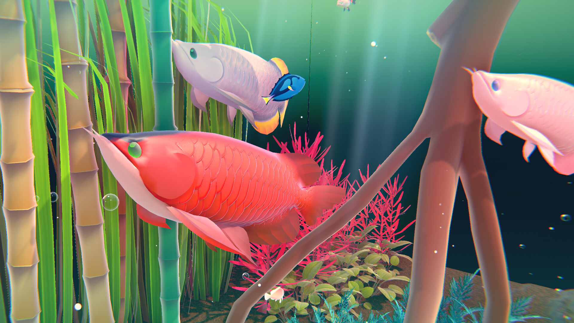 Fishplay screenshot #5