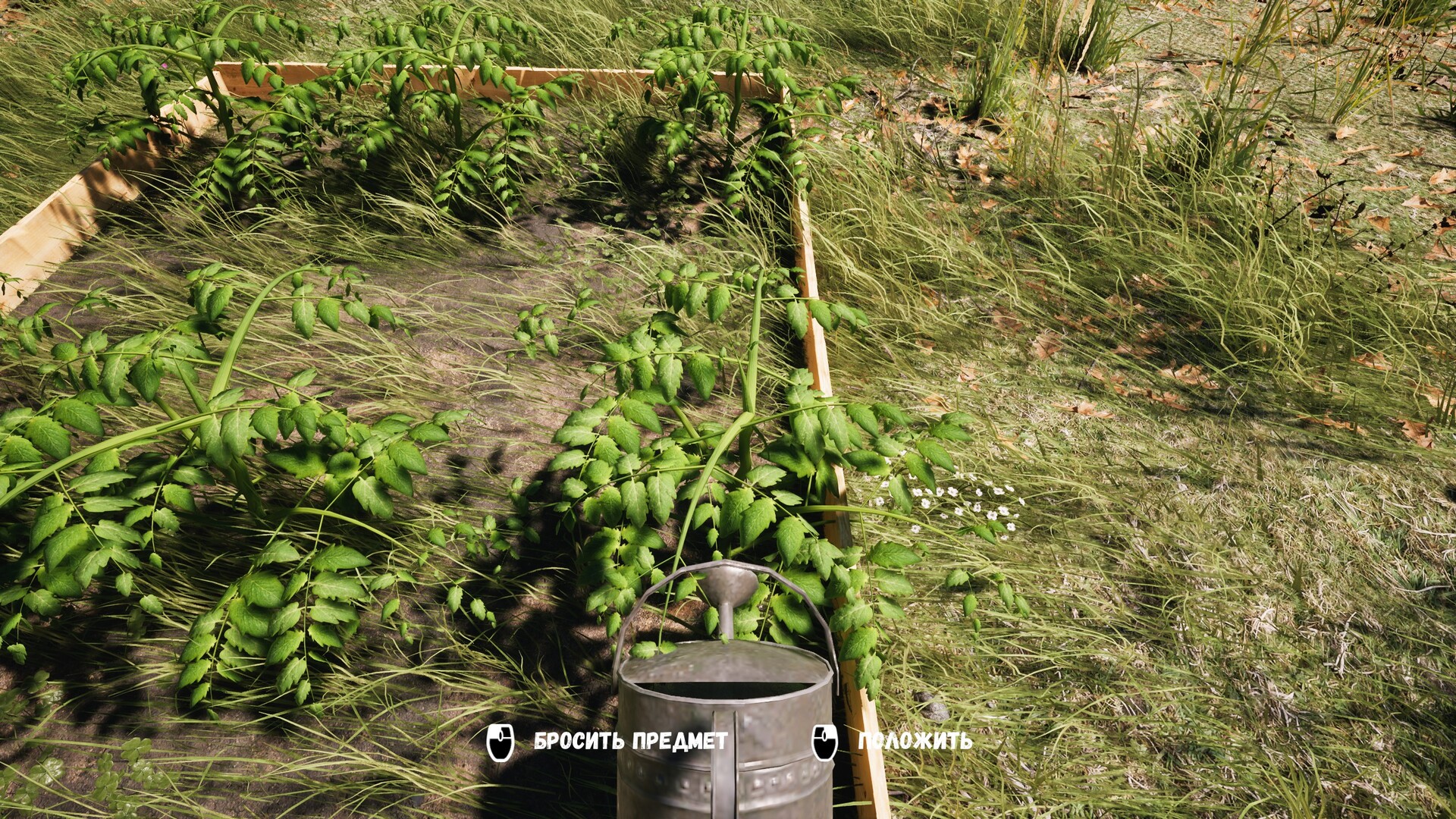 DACHA screenshot 8