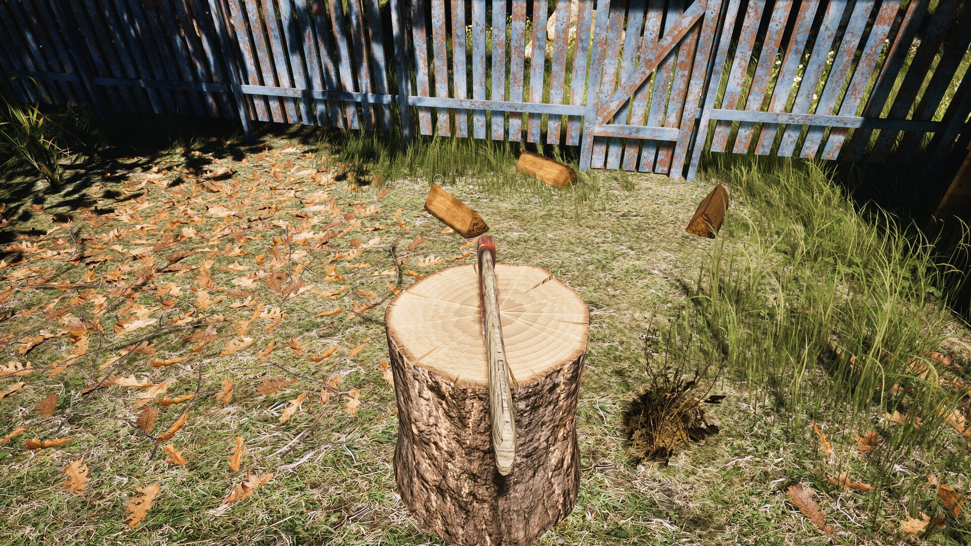 DACHA screenshot 9
