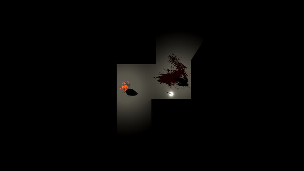 Скриншот из Midnight Murder Maze
