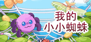 我的小小蜘蛛