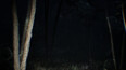Screenshot #11