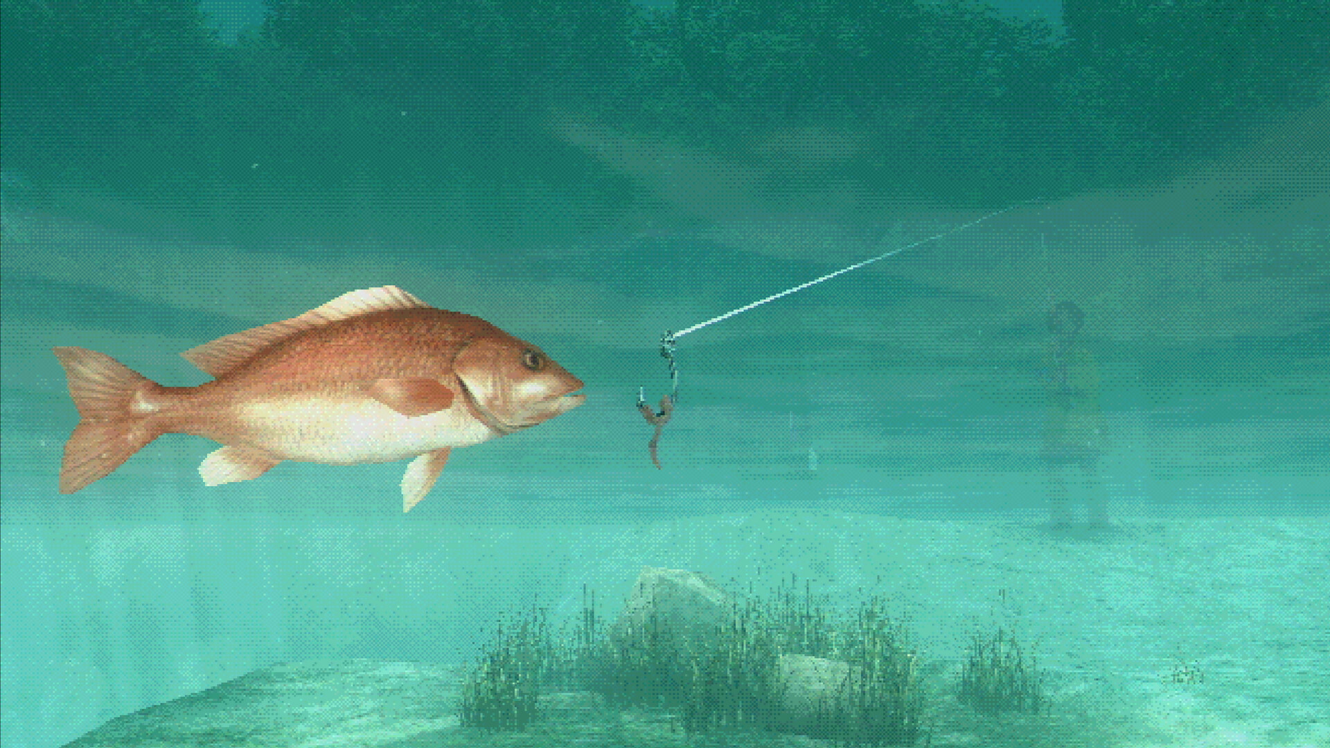 About Fishing screenshot 1