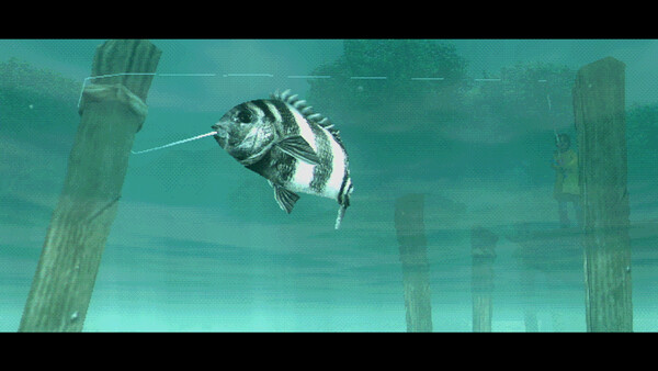About Fishing