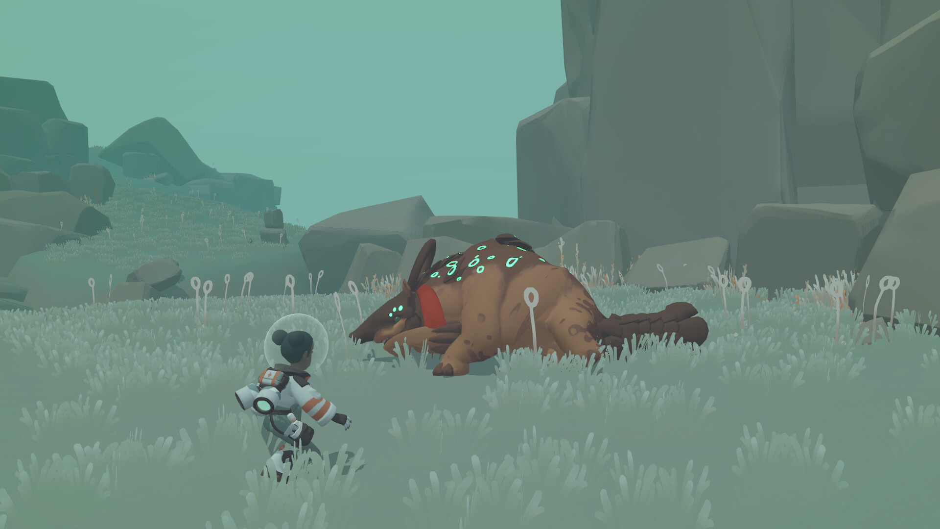 Space Vet screenshot 1