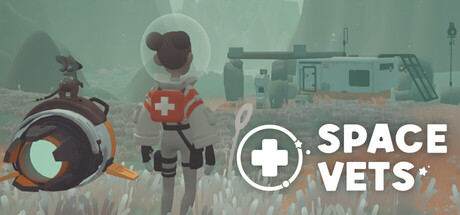 Steam cover for Space Vets.