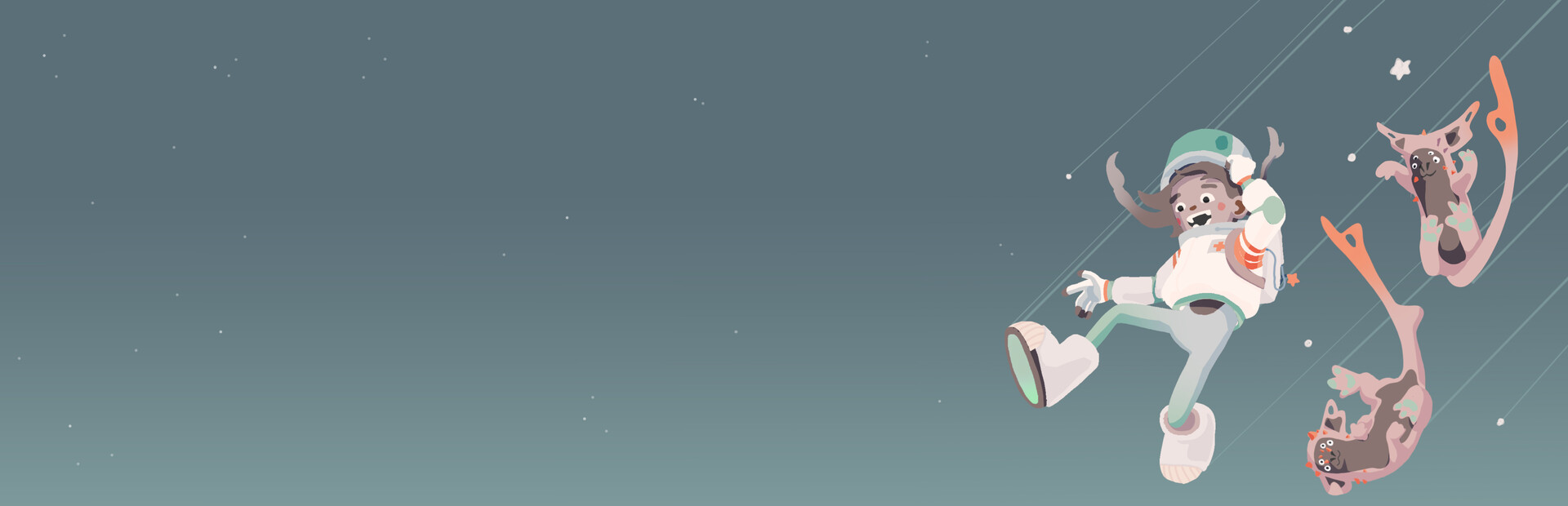 Space Vet