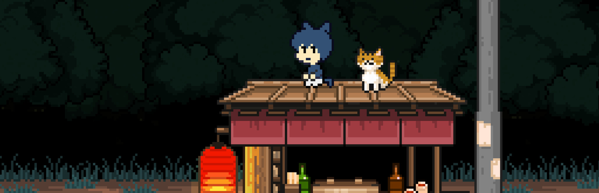 Wish Upon a Cat