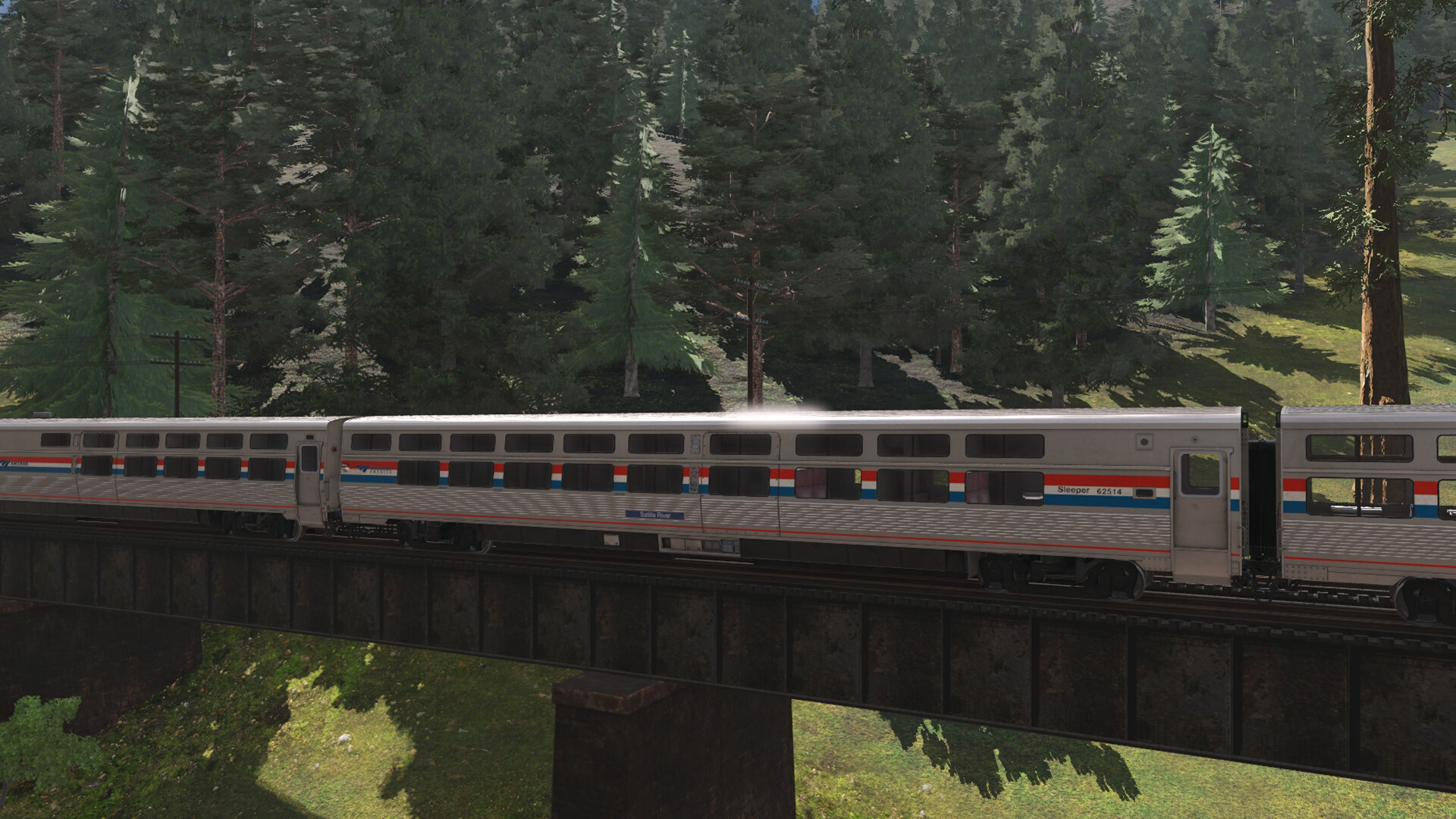 #3. Trainz 2022 DLC - Pro Train: Amtrak Viewliner I & II (Steam) โดย: N3V Games