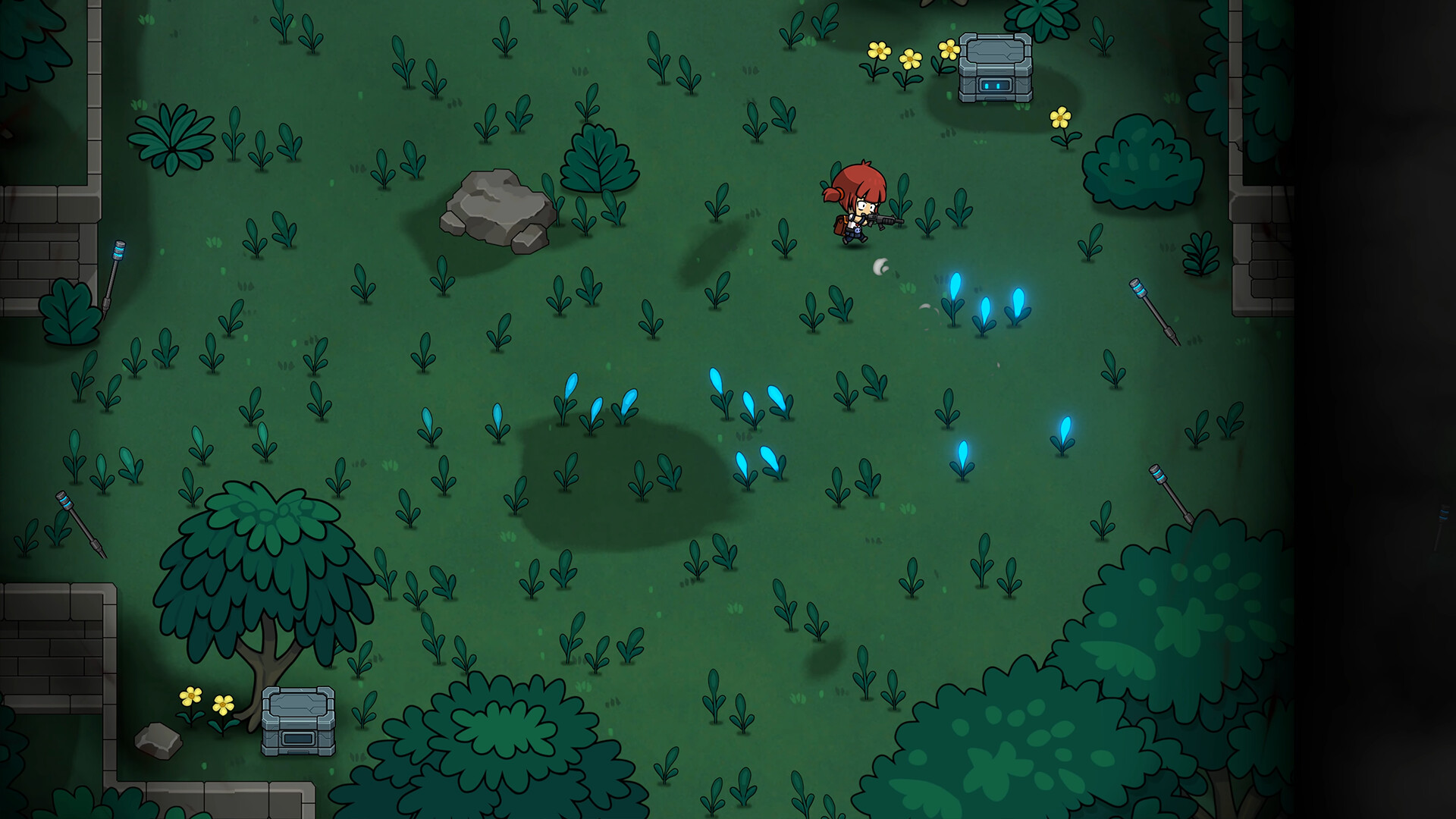 Seed 2313 screenshot #1