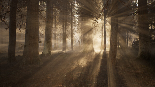 The Seven Enchantments Demo