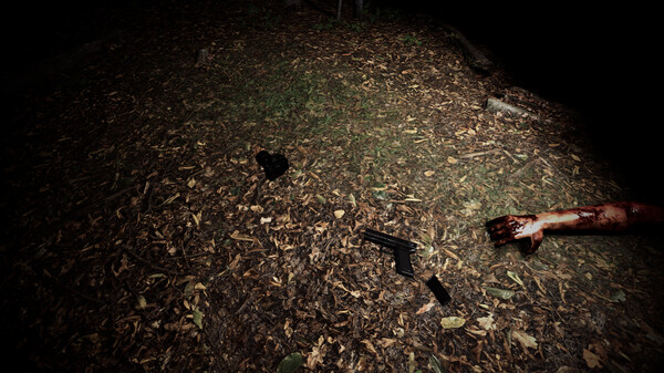 The Hollow Path VR screenshot 2