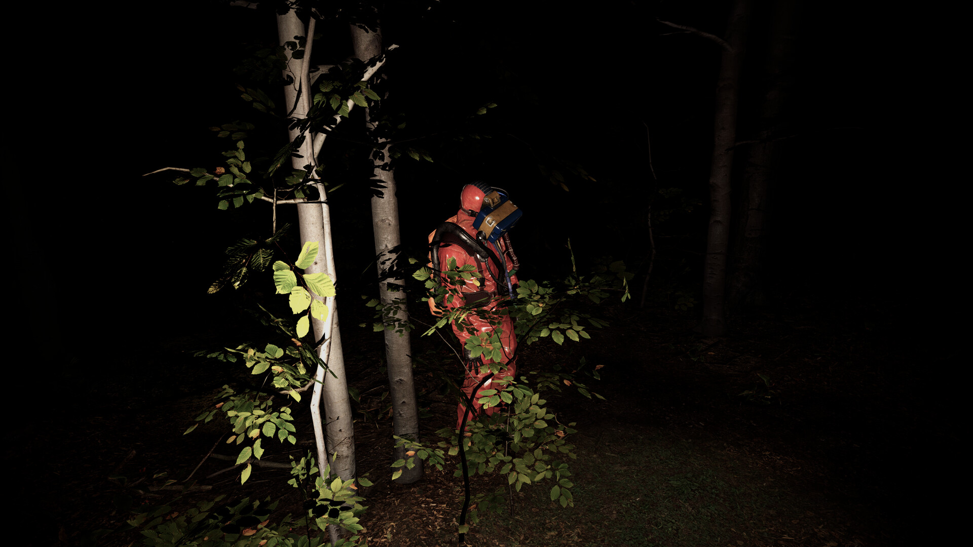 The Hollow Path VR screenshot #1