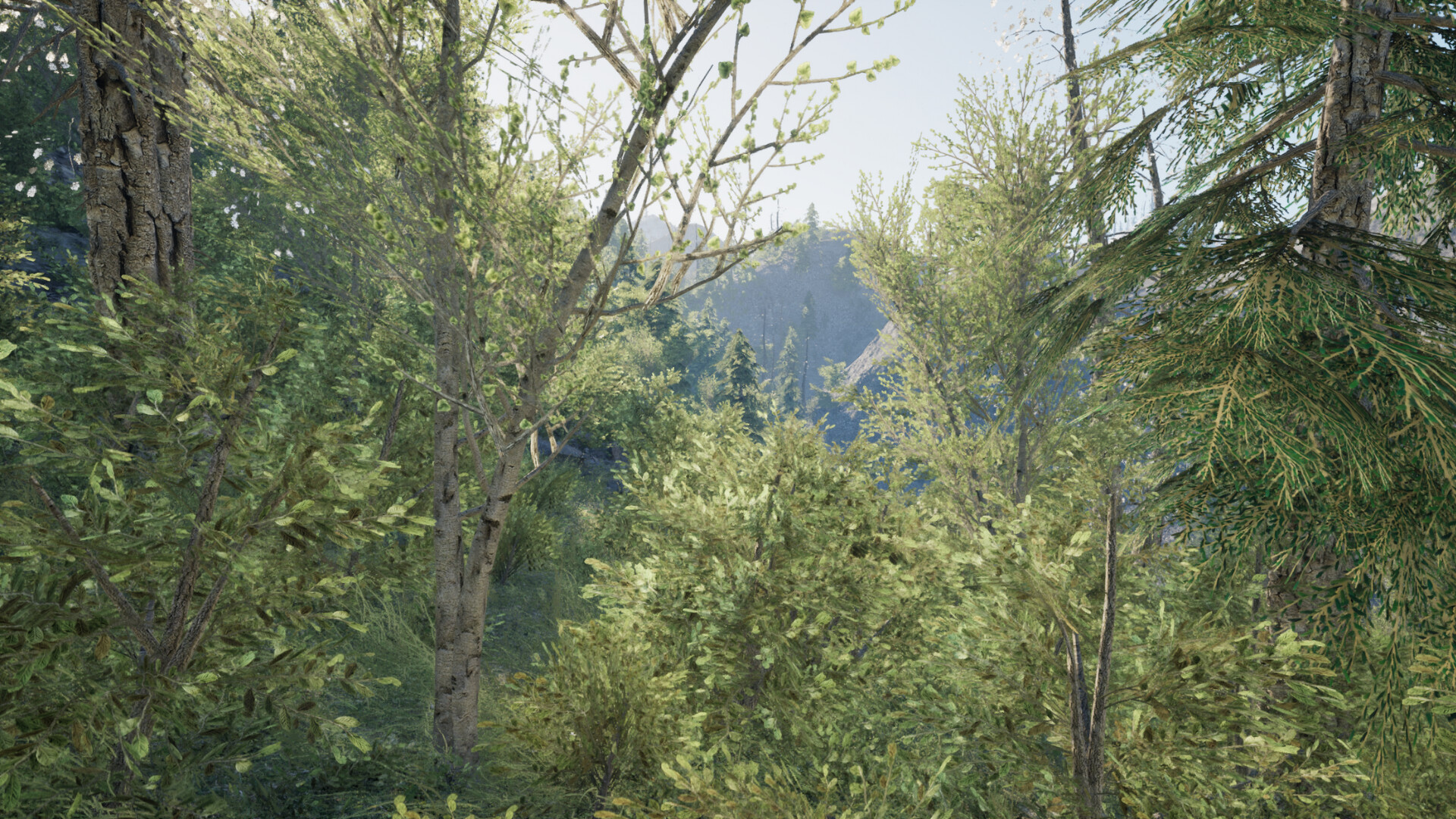 Don't Follow screenshot #9