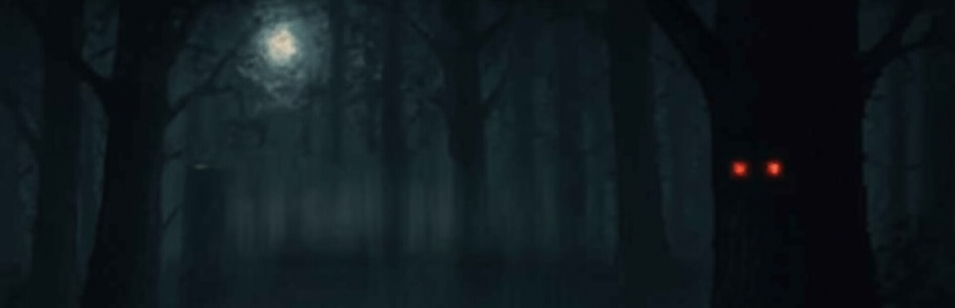 FOREST SURVIVAL