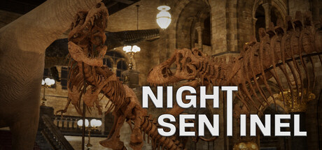 Night Sentinel cover art