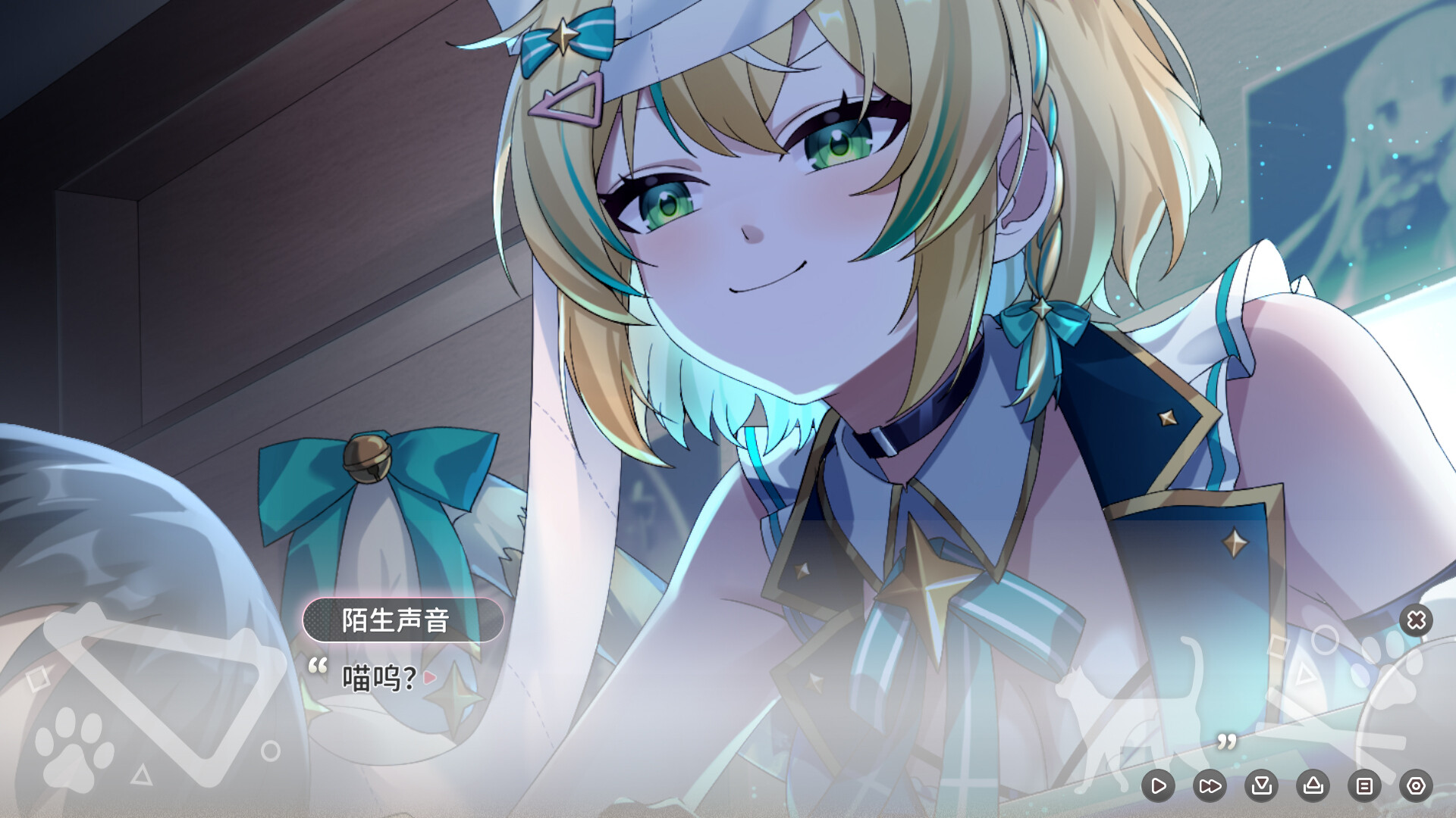Neko Diary🐾 猫愿日记