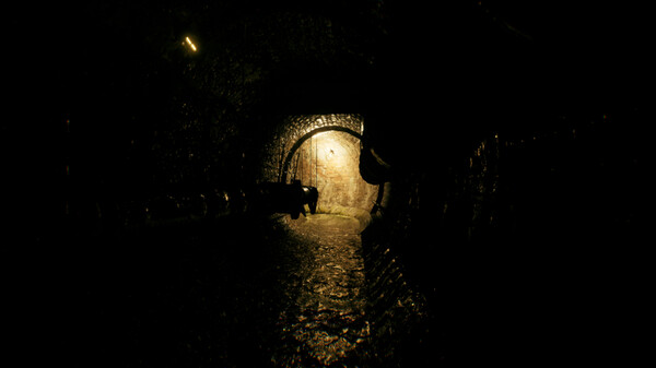Aylin: The Story of Tom screenshot 3