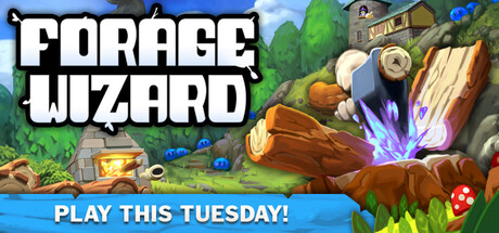 Cover image for Forage Wizard