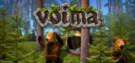 VOIMA cover art