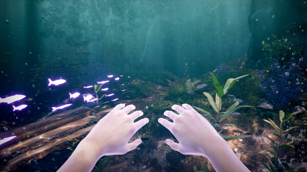 Echoes of Mora Demo
