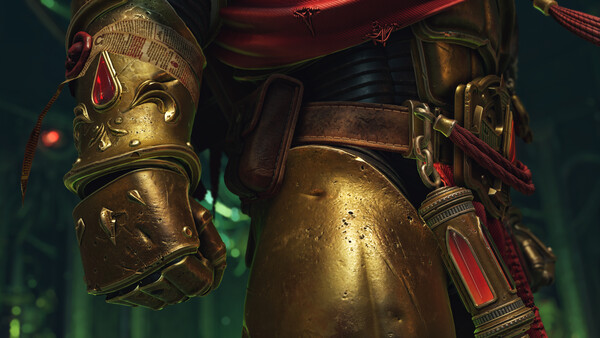 Warhammer 40,000: Space Marine 2 - Blood Angels Champion Pack