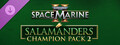 Warhammer 40,000: Space Marine 2 - Salamanders Champion Pack 2