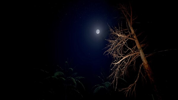 Red Light White Light Demo screenshot 2