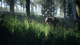 Screenshot #9
