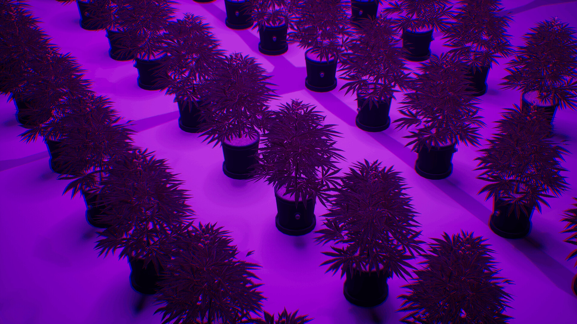 WeedEx: Drug Express Delivery screenshot #5