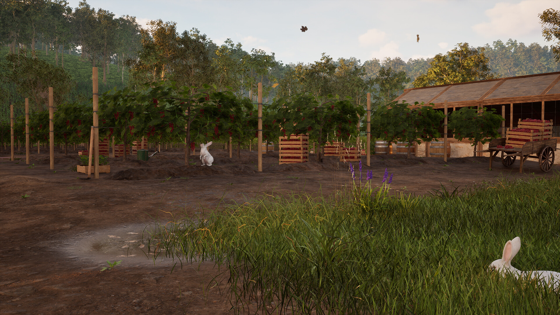 Winemaker Simulator screenshot #10