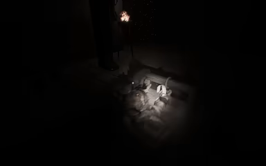 The Third video 3