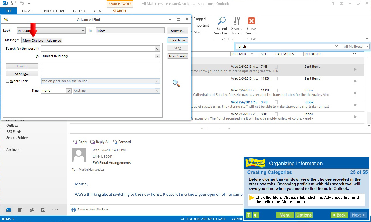 #3. Professor Teaches® Outlook 2013 & 365 (Steam) De: Individual Software