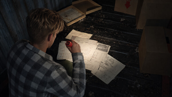 Screenshot media
