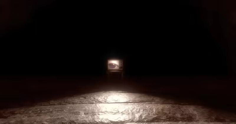 Amanita video 2