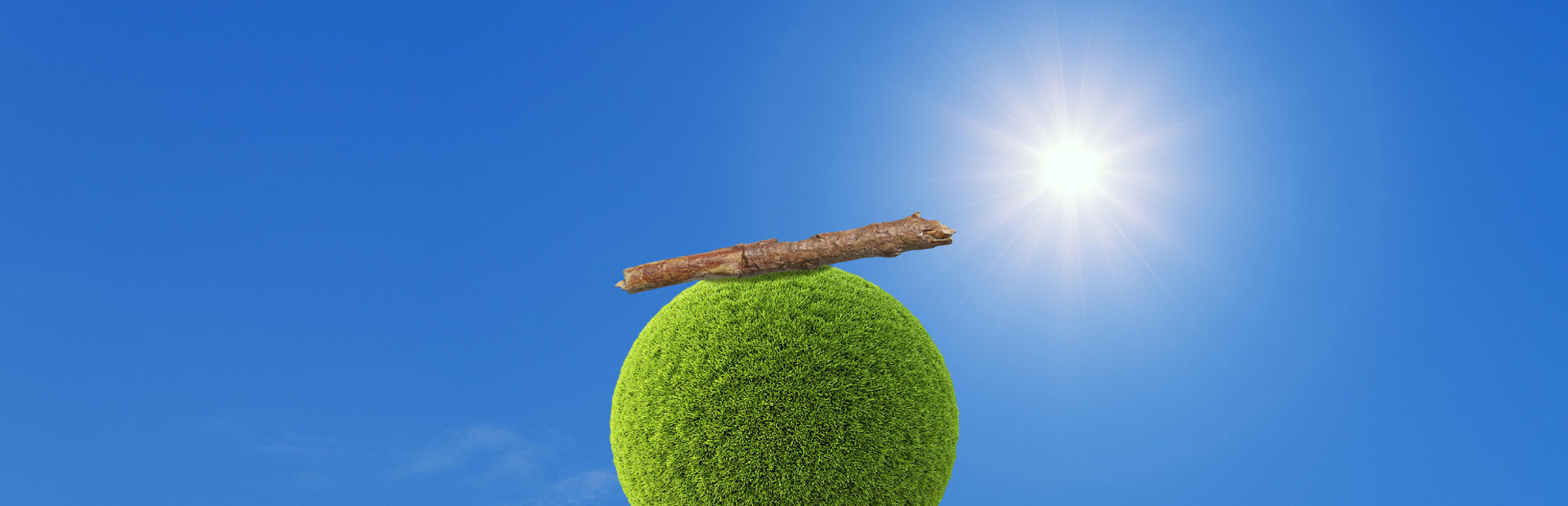 I Am A Stick