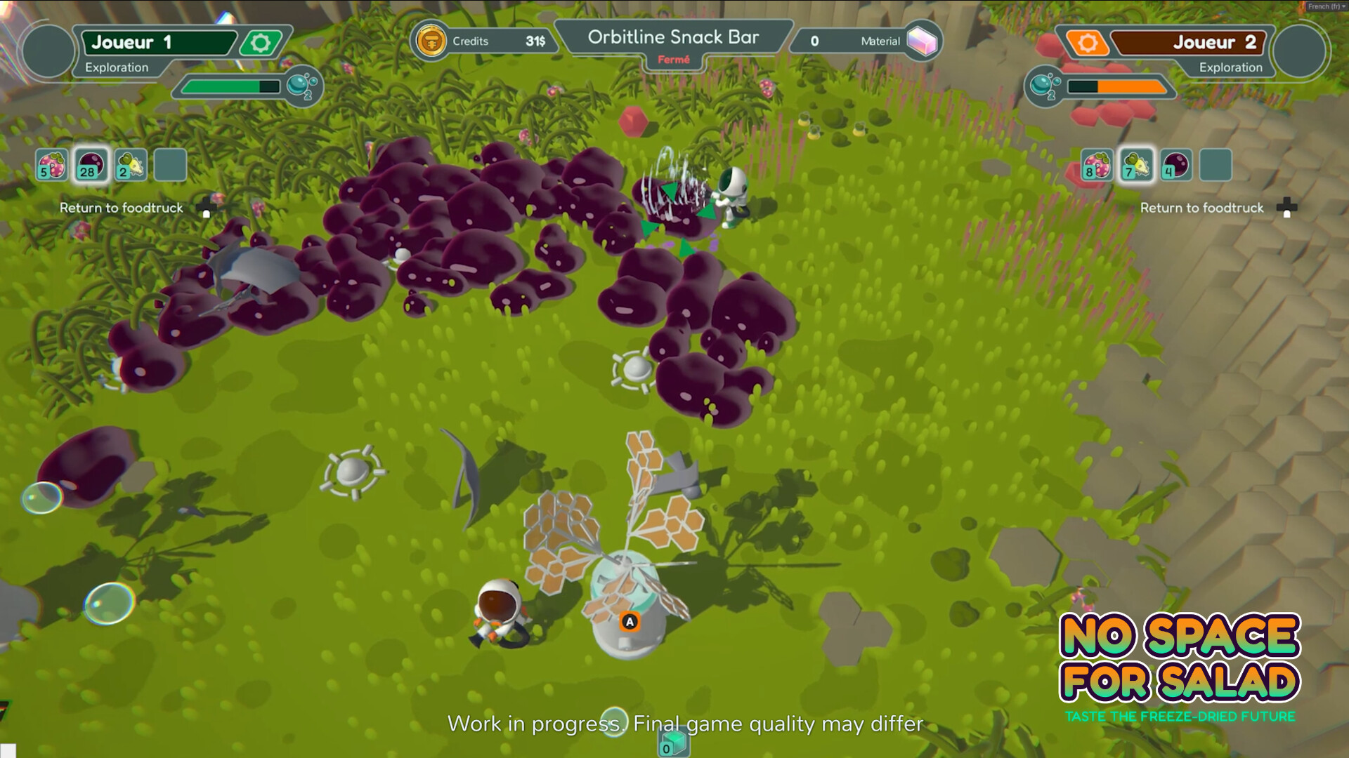 No Space For Salad screenshot #4