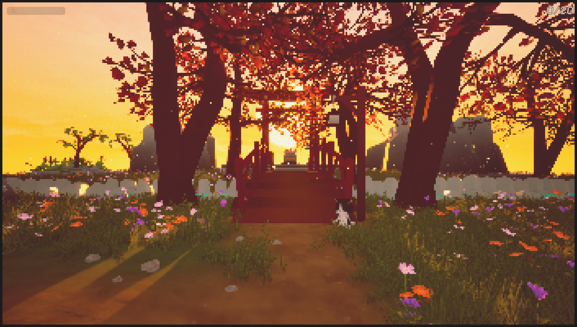 Tails & Trails screenshot